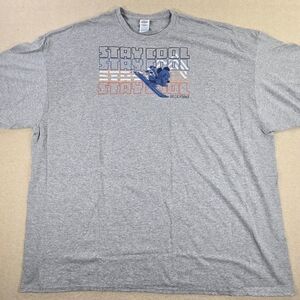 Disney Stay Cool Ski California Graphic T-Shirt Gray 5XL Delta Pro Weight